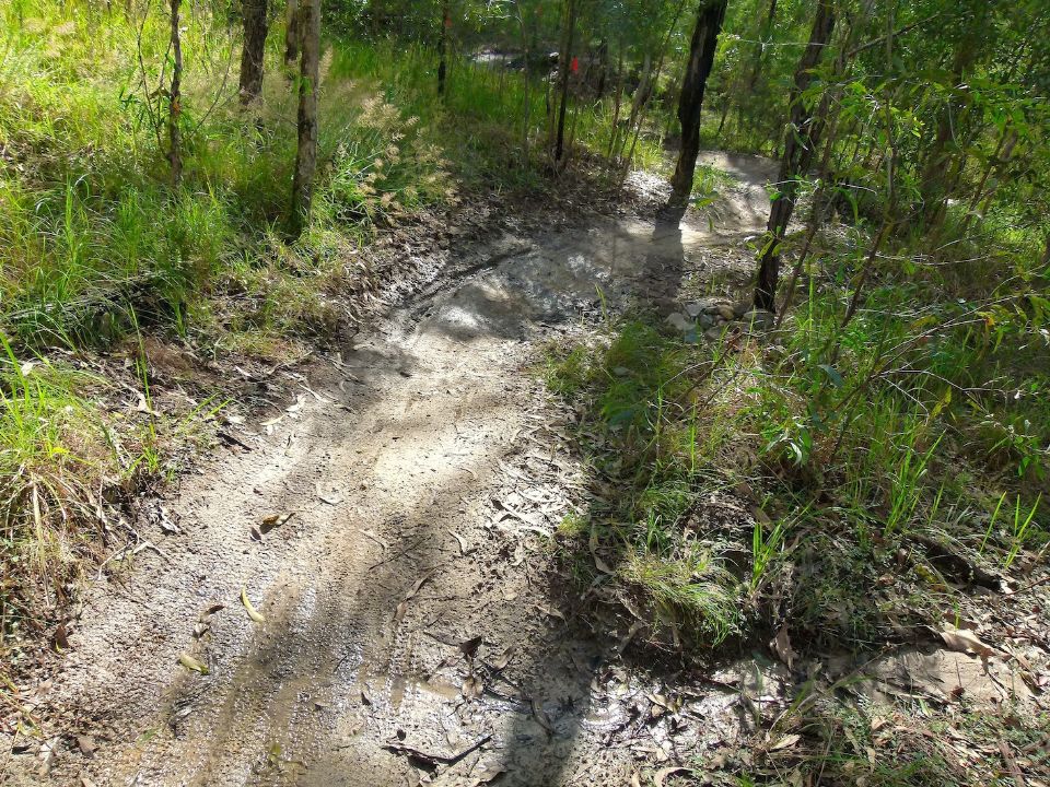 The upper berm line is too soft